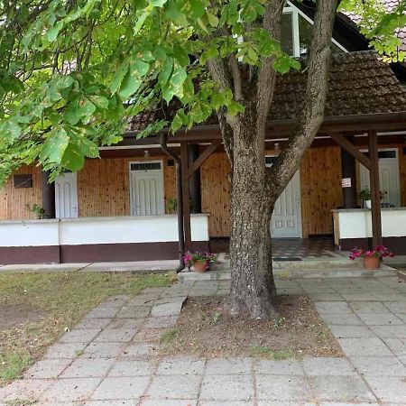 Platan Ueduelo Διαμέρισμα Balatonlelle Εξωτερικό φωτογραφία